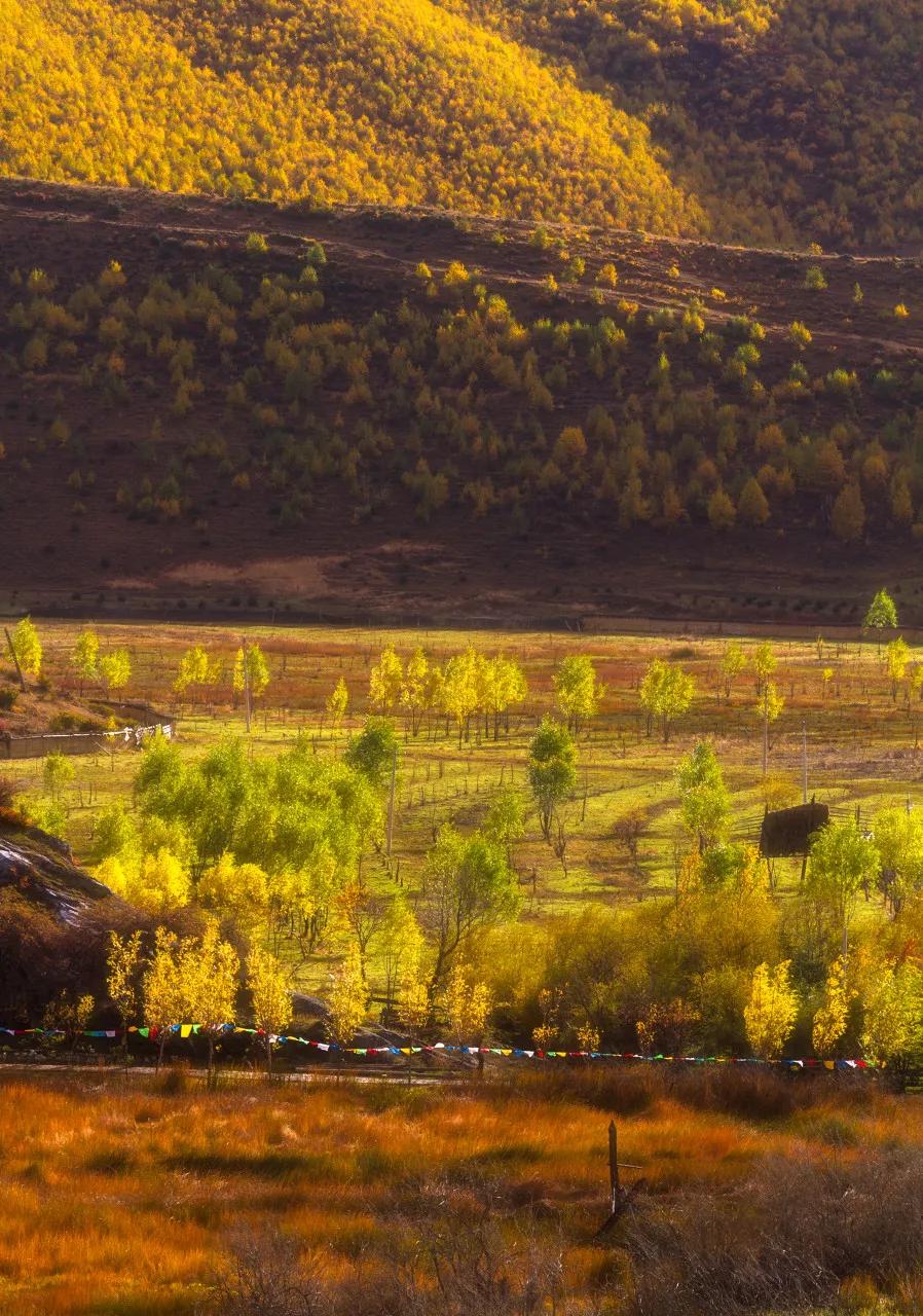 云南淡季旅游线路推荐,云南春季旅行推荐