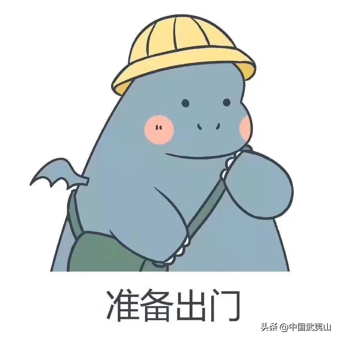 武夷山乘车攻略,武夷山景区交通线路图