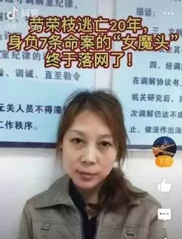 2019年影响力最高的十篇更新,最让你感到震撼的是哪一篇?