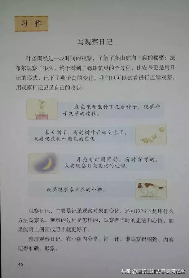 四年级上册语文电子课本,四年级上册语文课本内容