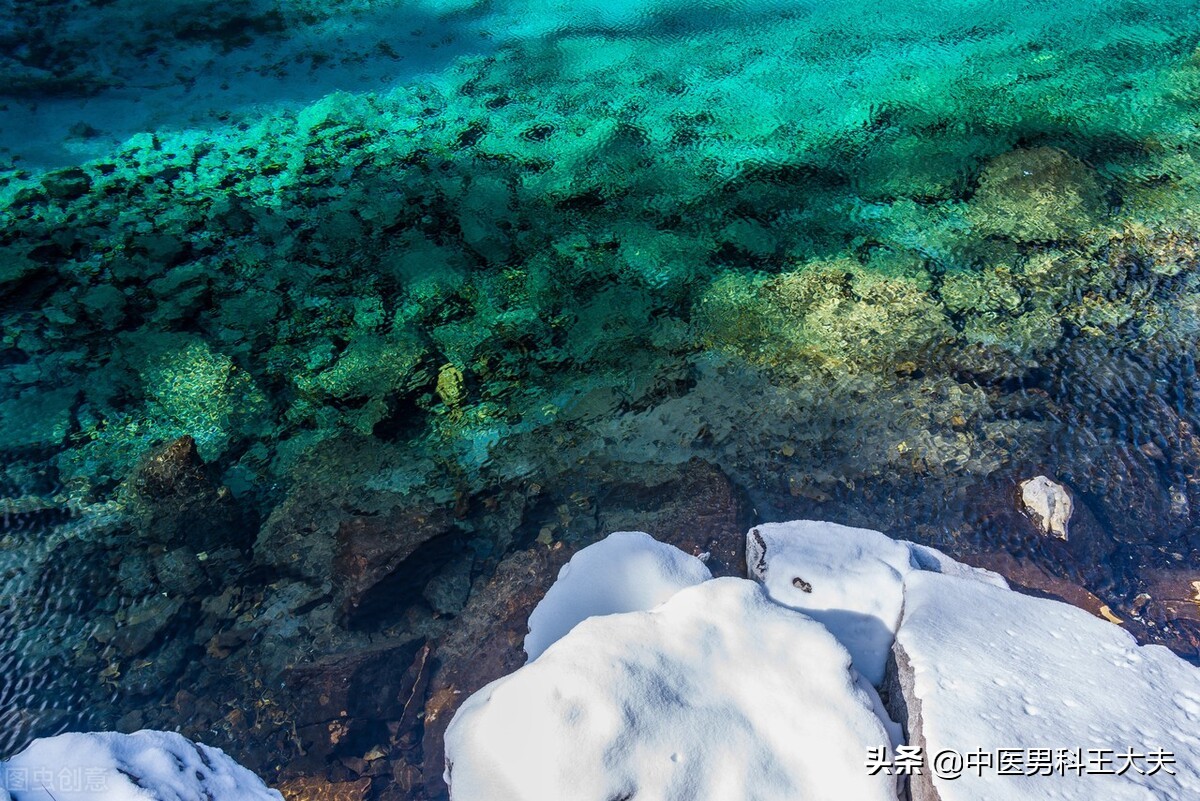 湿热淤堵引起的腰膝酸软,湿热下注肾气不足精关不固吃什么