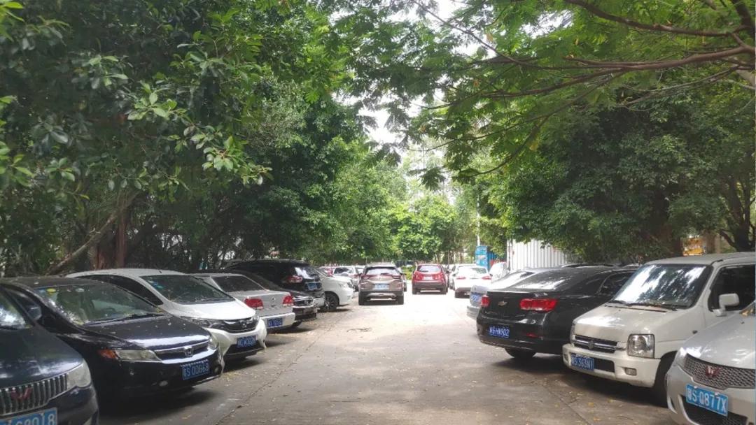 东莞广发片区城市品质提升工程,东莞市加强城市道路建设改造规划