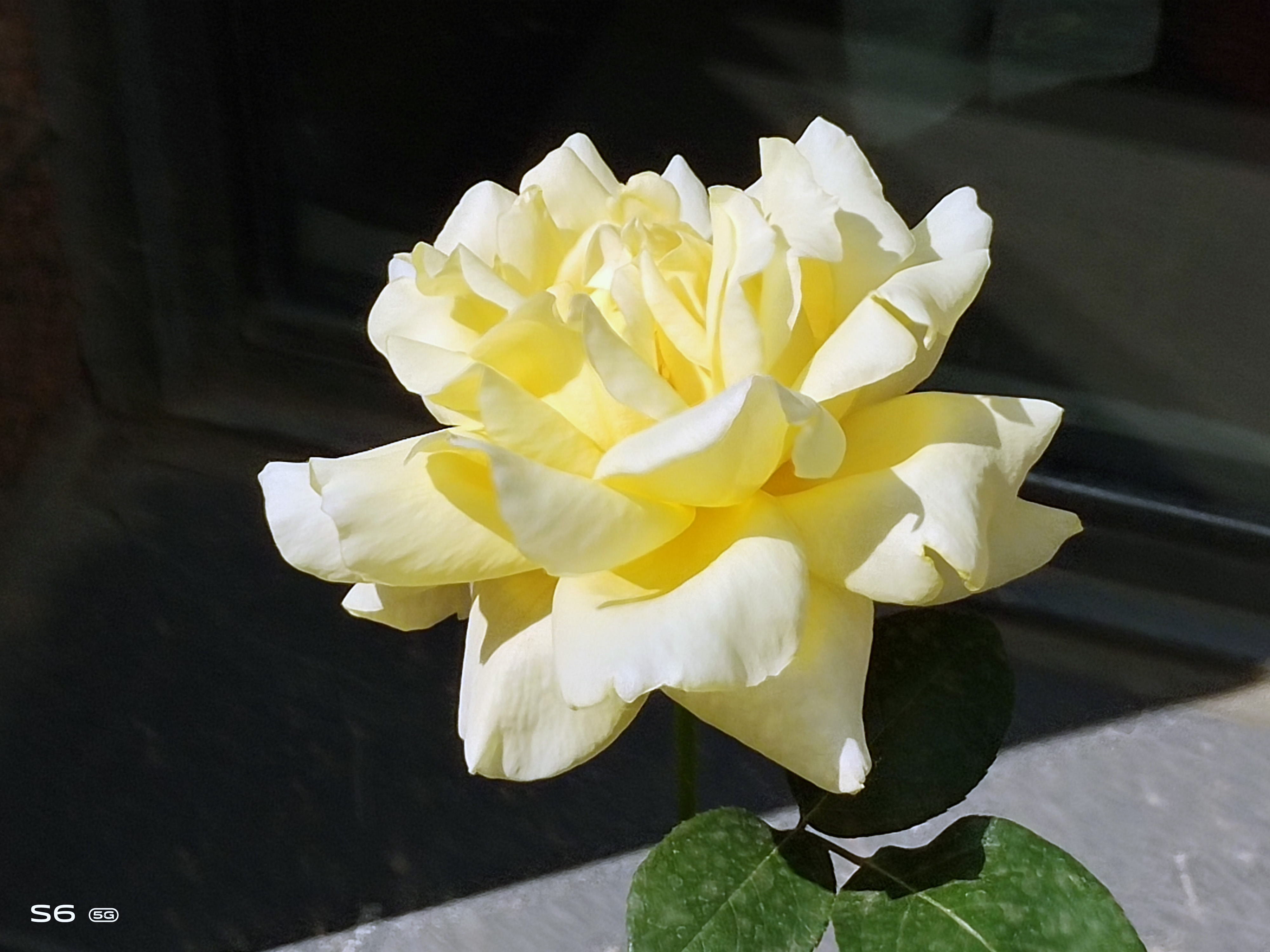 消费者视角分析,vivos6值得入手吗