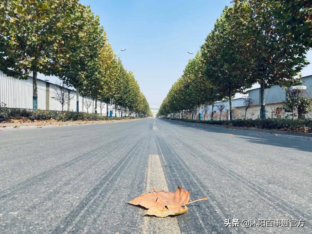 沭阳23个重大项目是哪些,沭阳重点发展的4个城镇