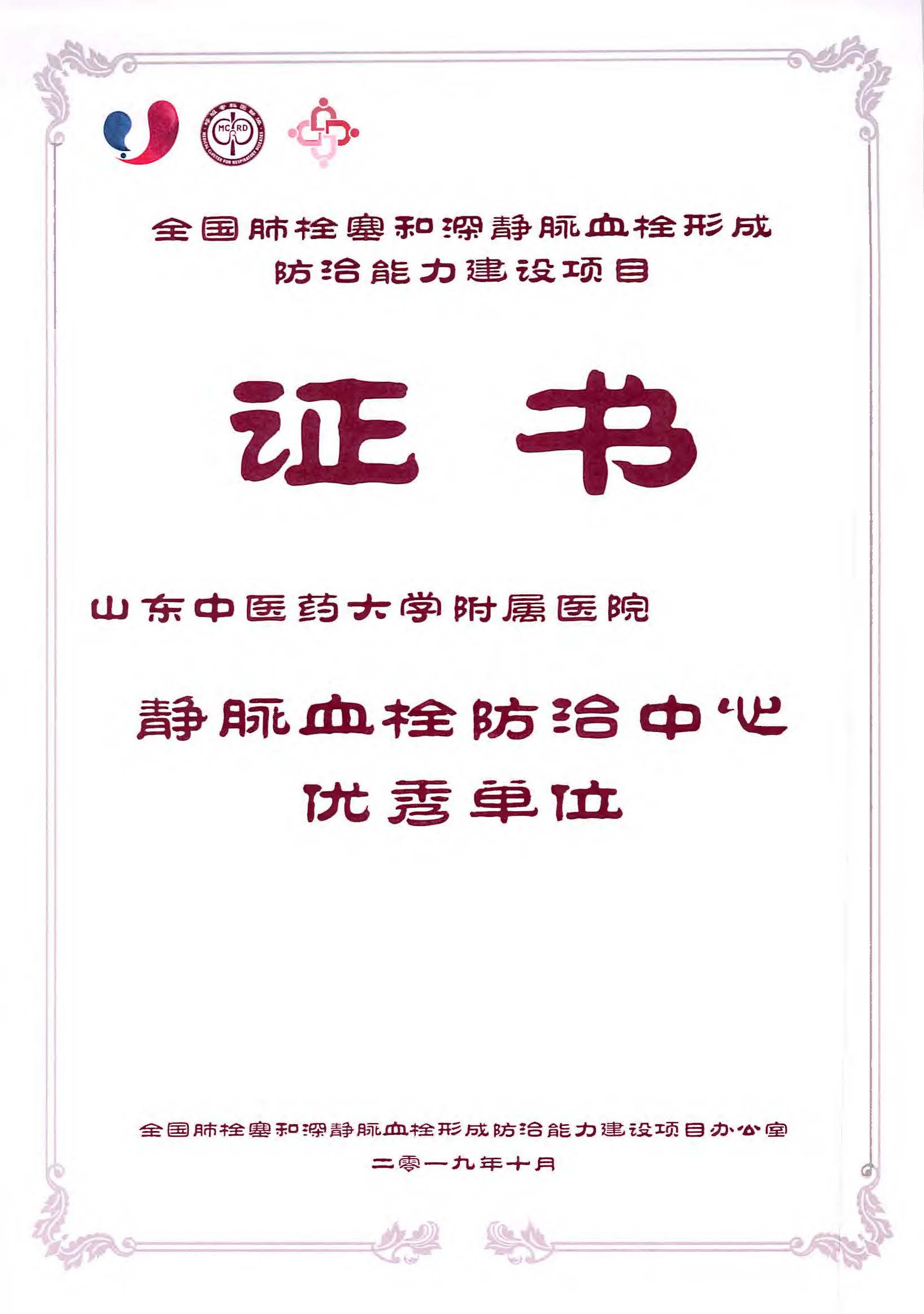 全国静脉血栓防治中心,静脉血栓防治管理团队