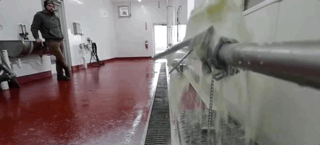 黑天鹅后灰犀牛：倒牛奶到负油价，完美风暴加剧经济滞胀