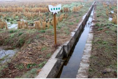 青蛙住“宾馆”，农田会呼吸，这个村发生了啥？