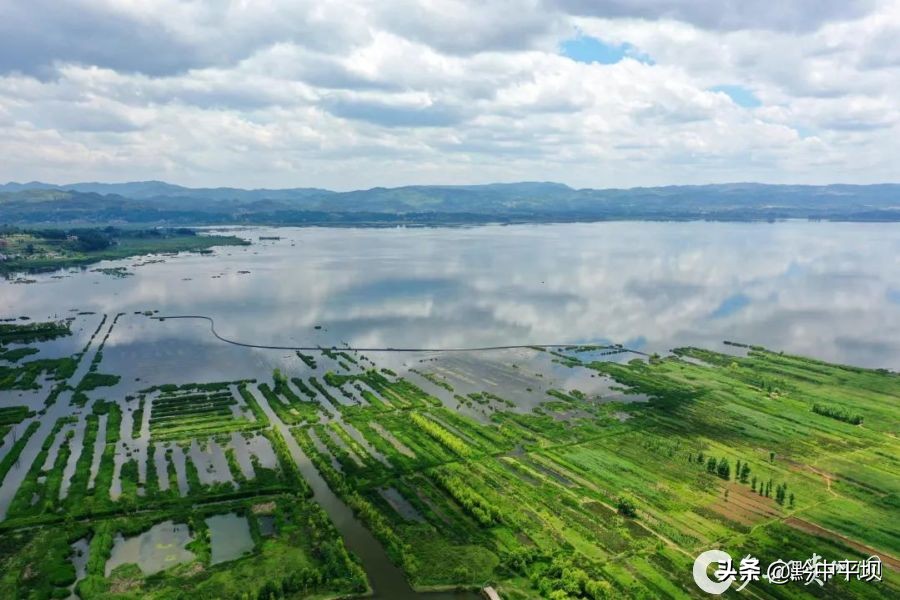 贵州草海简介,航拍贵州草海视频