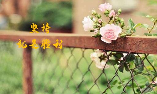 学会这个方法，胎动不会再傻傻数不清楚啦