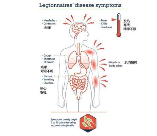 广州多家酒店查出细菌超标,连锁酒店有多脏