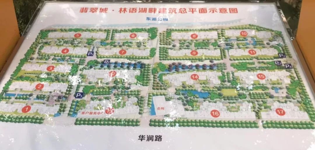 成师附小分校有哪些,成师附小哪个分校最好