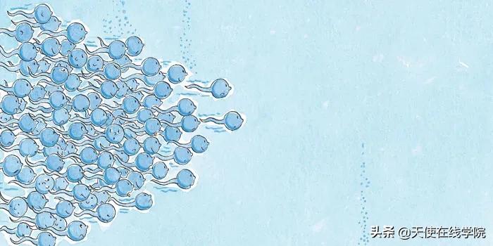 给孩子讲性教育的绘本,怎样通过绘本灌输性教育