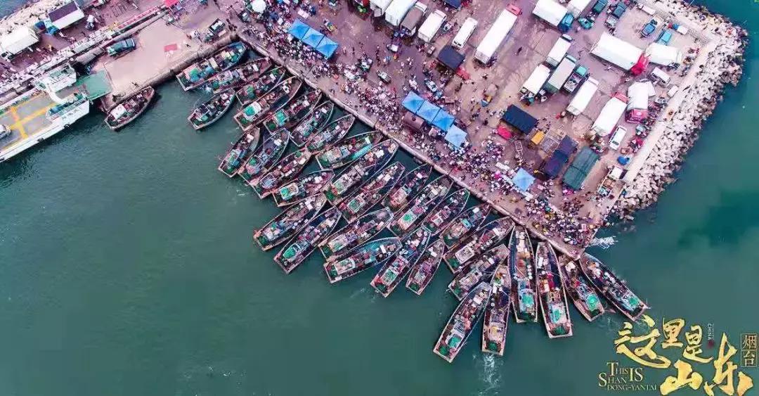 前方高能预警,前方高能预警有多高能