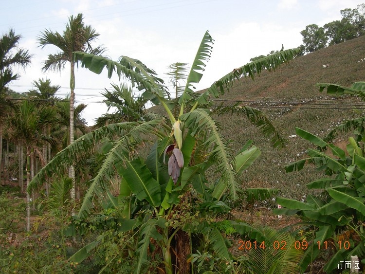 海南环岛骑行的结束感悟,环海南岛骑行中线和西线