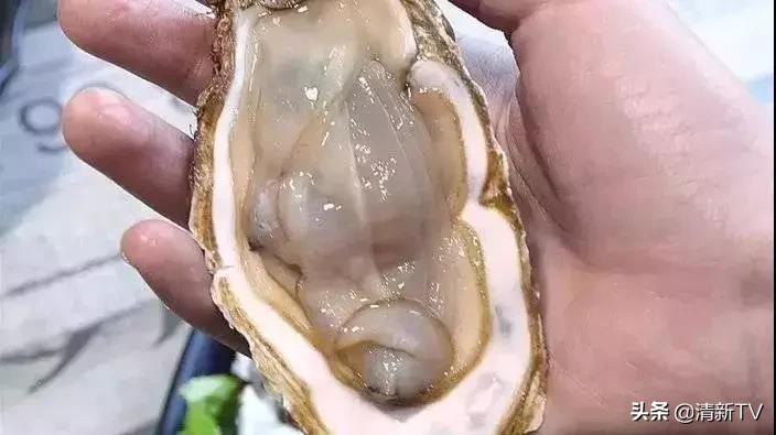 清远音乐餐吧优惠团购,清远海港城音乐餐吧