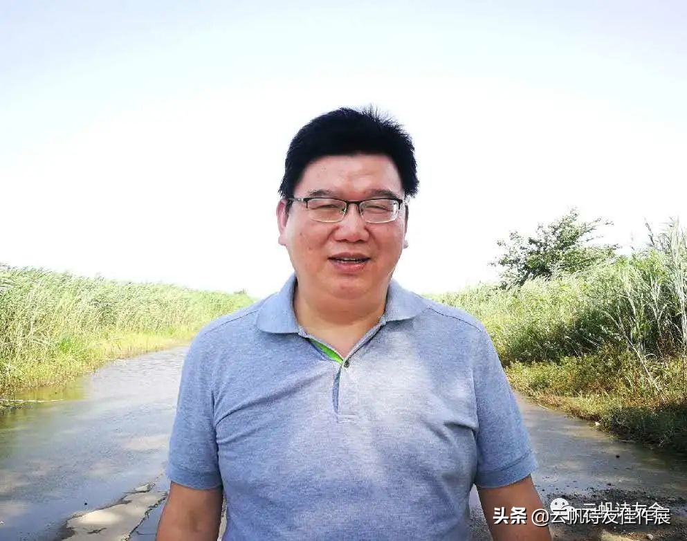 云帆诗词年鉴第八集,云帆诗词14集