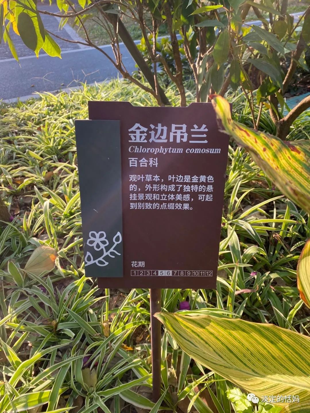 一边修脚一边讲故事,开口学古诗