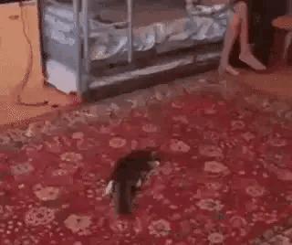 上厕所没有厕纸只能用绳子,上厕所没有卫生纸能用吗