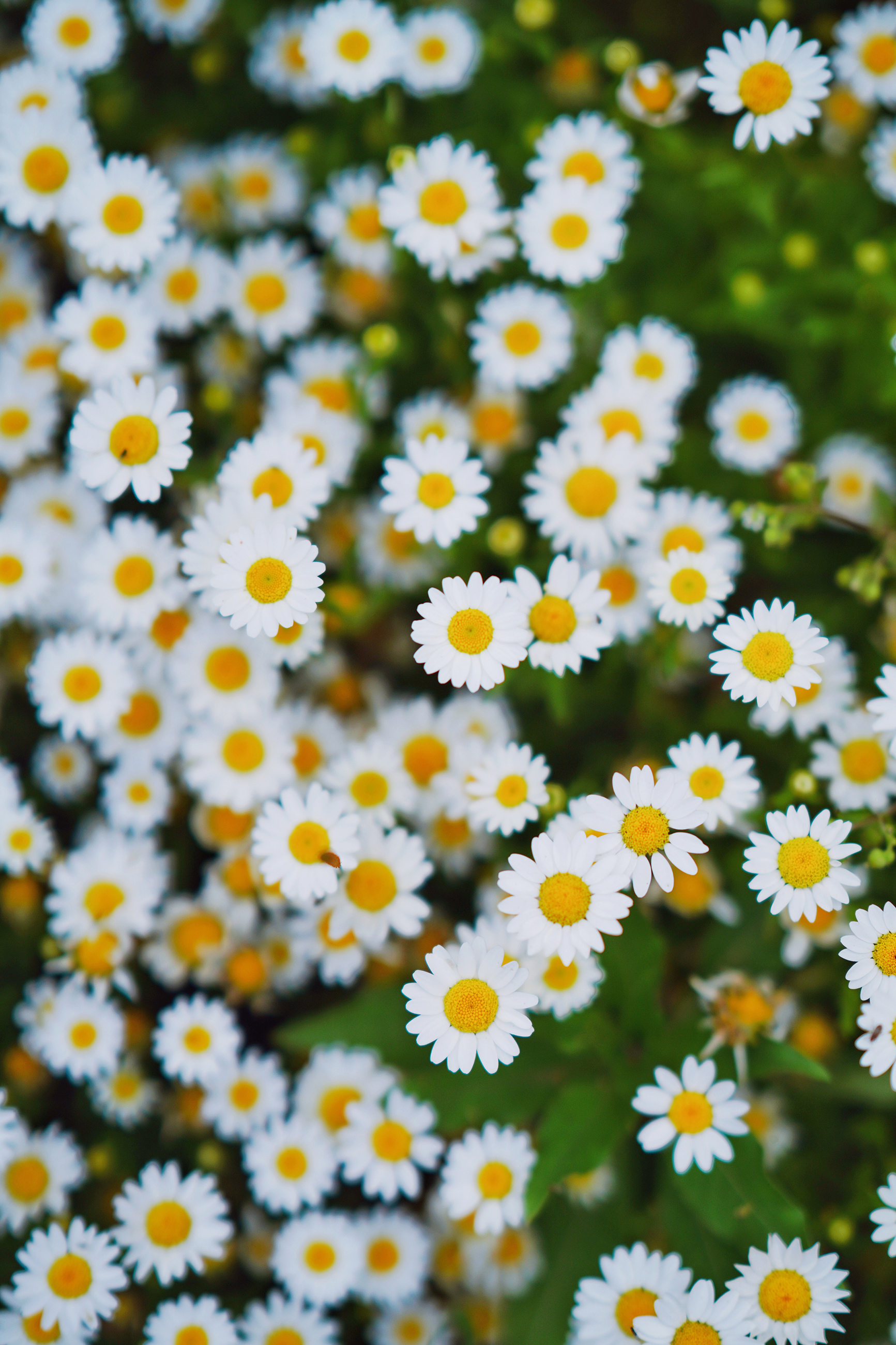 苏州特色民宿推荐,苏州最有特色民宿推荐