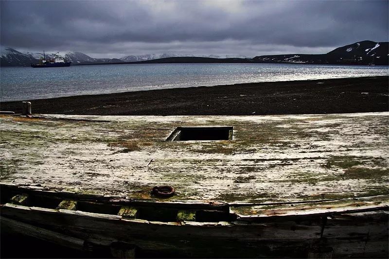 去南极能走出这个世界吗,为什么现在都要去南极