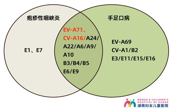 和手足口病相似的病10岁会传染吗,和手足口病相似的传染病