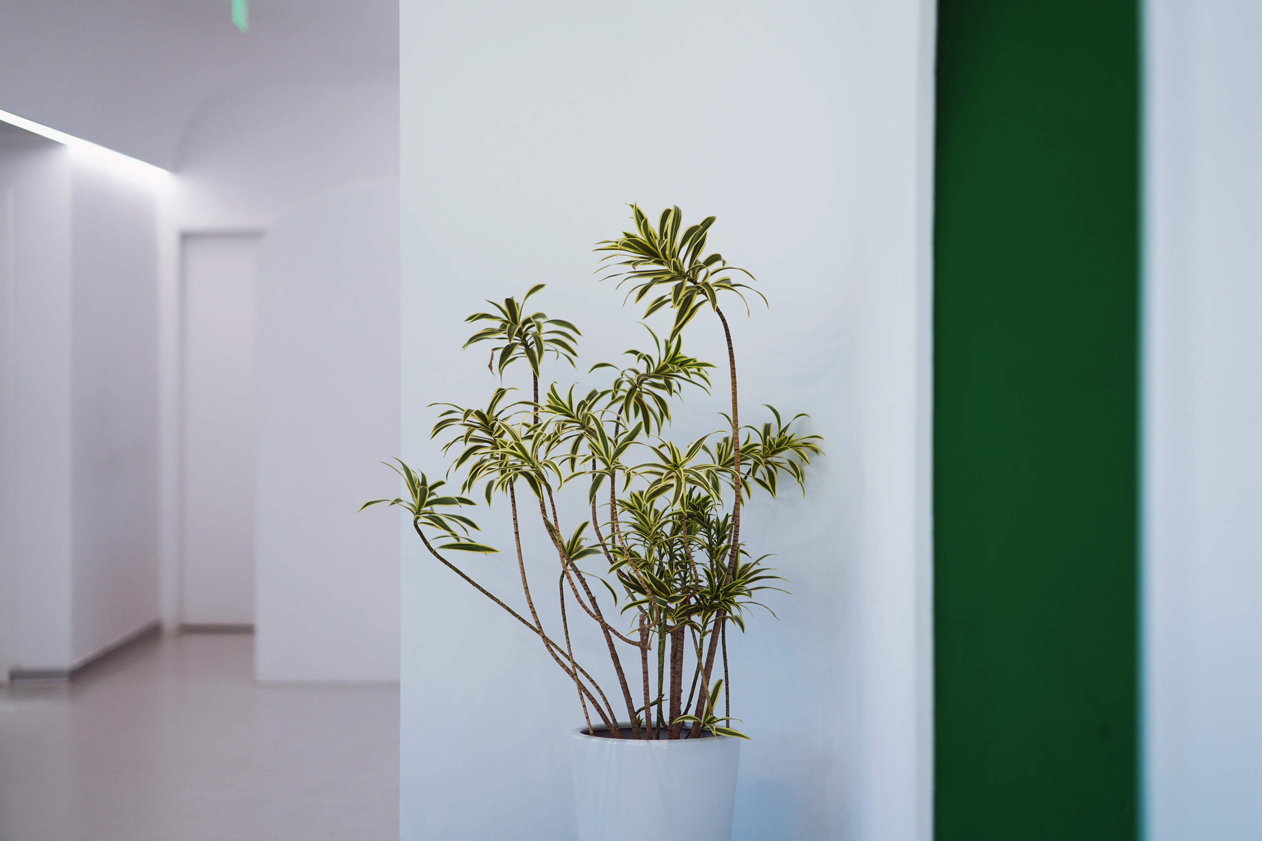 苏州特色民宿推荐,苏州最有特色民宿推荐