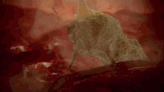 发烧咳嗽流鼻涕是肺炎支原体,发烧感冒咳嗽流鼻涕是甲流吗