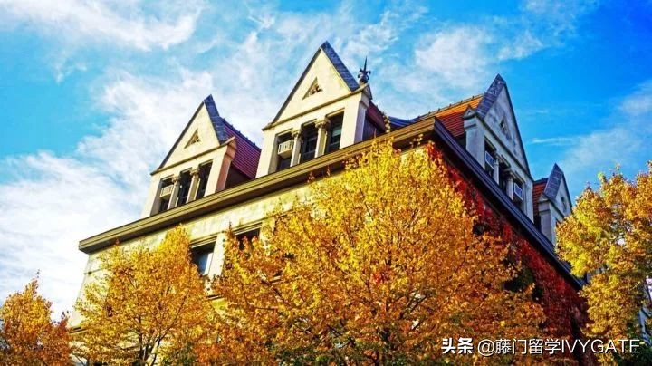 在芝加哥大学读博士是如何的体验,在芝加哥的大学