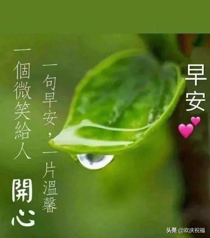 早晨问候语早上好祝福语,最新的早上好问候祝福语图
