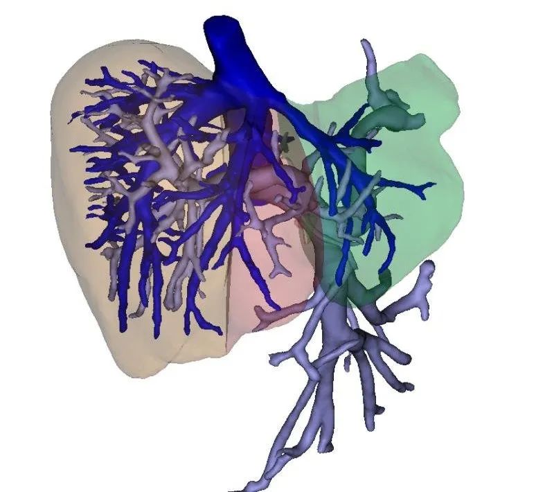 心痛！7岁女孩肚子疼，一查已是癌症晚期！祸根在出生时就埋下