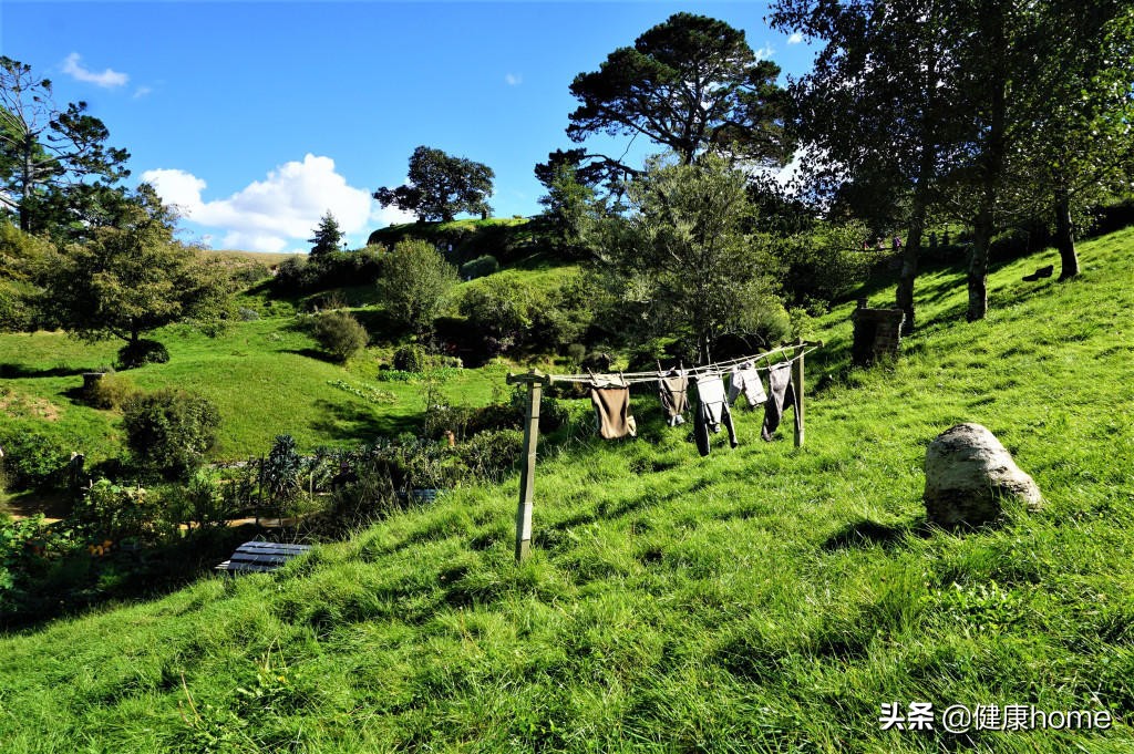 新西兰霍比特人村攻略,新西兰霍比特蓝泉一日游