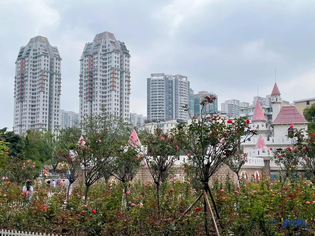 广州动物园什么时候搬迁,广州动物园搬迁