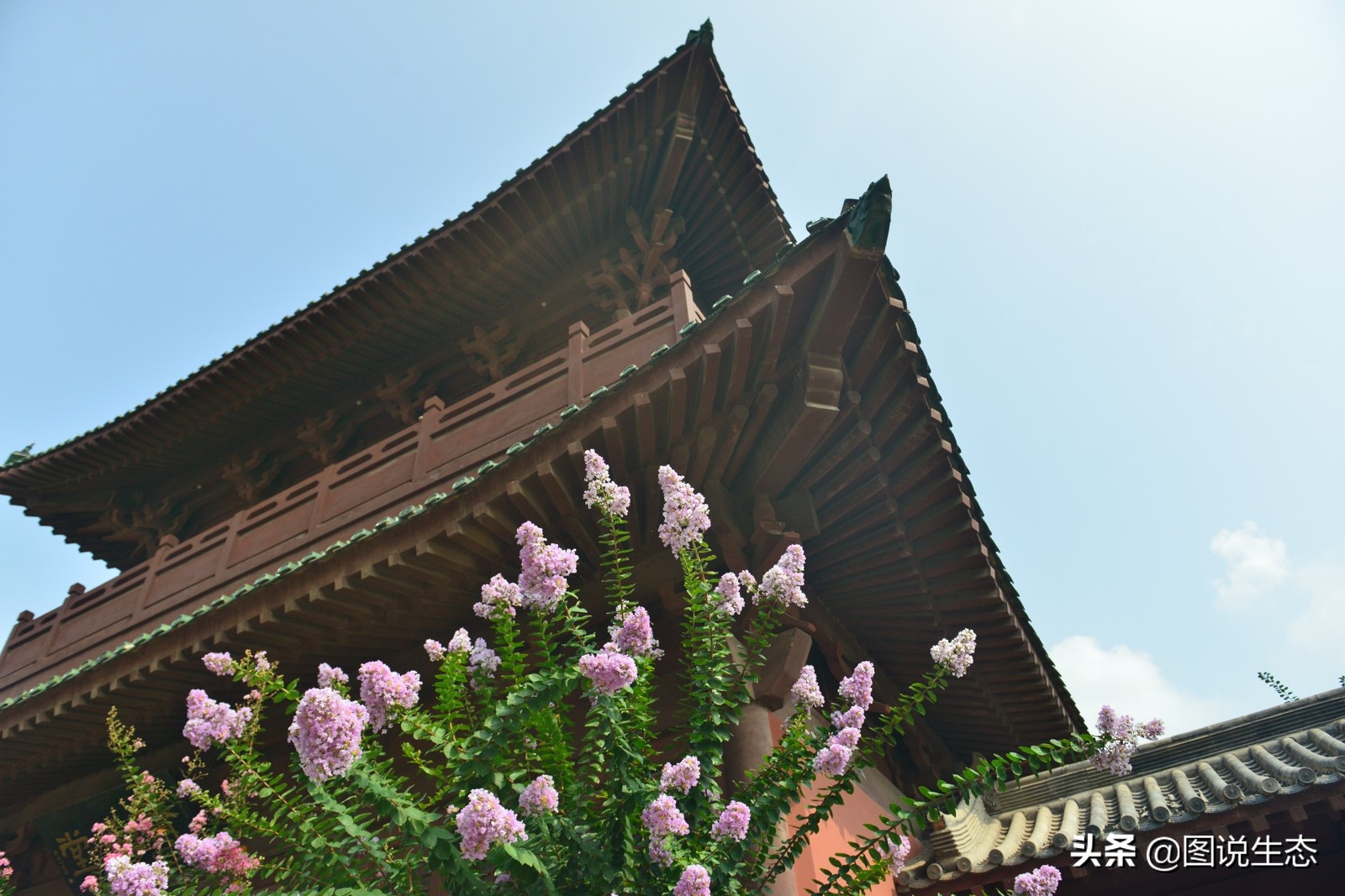 华灯初上，开封香飘夜空，叫卖声、欢笑声构成夜市版的清明上河图