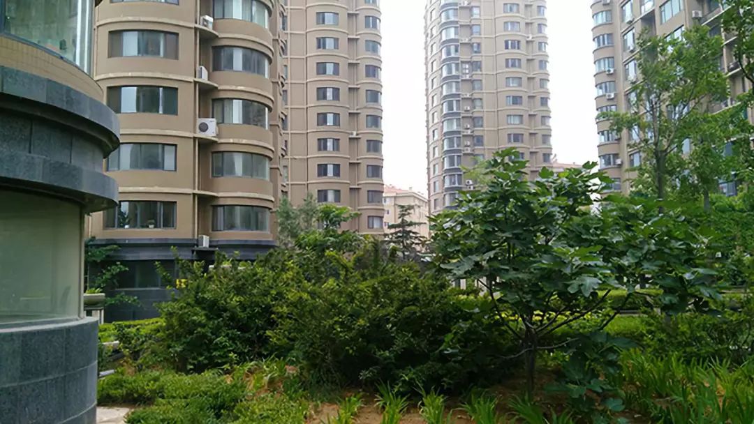 威海戚家庄海韵华府二手房,竹岛海韵华府怎么样