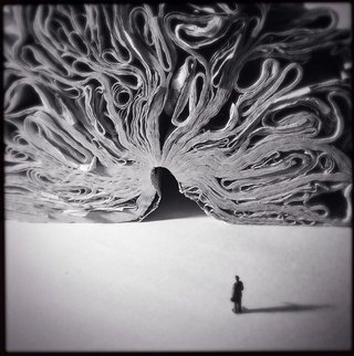 苹果年度最佳照片,iphone拍出来的照片有多惊艳