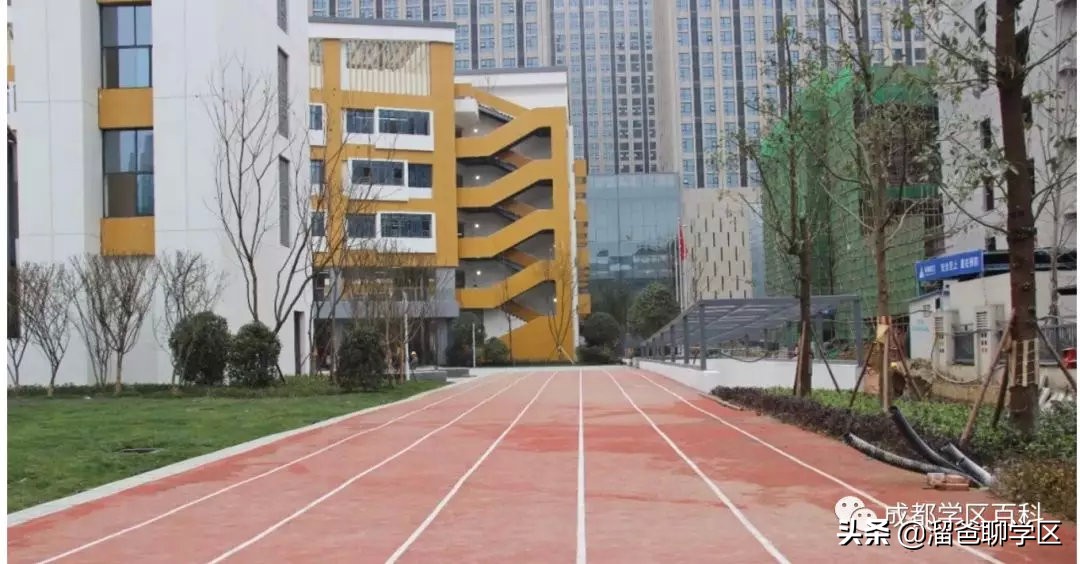 大源板块学校,大源片区最好的小学