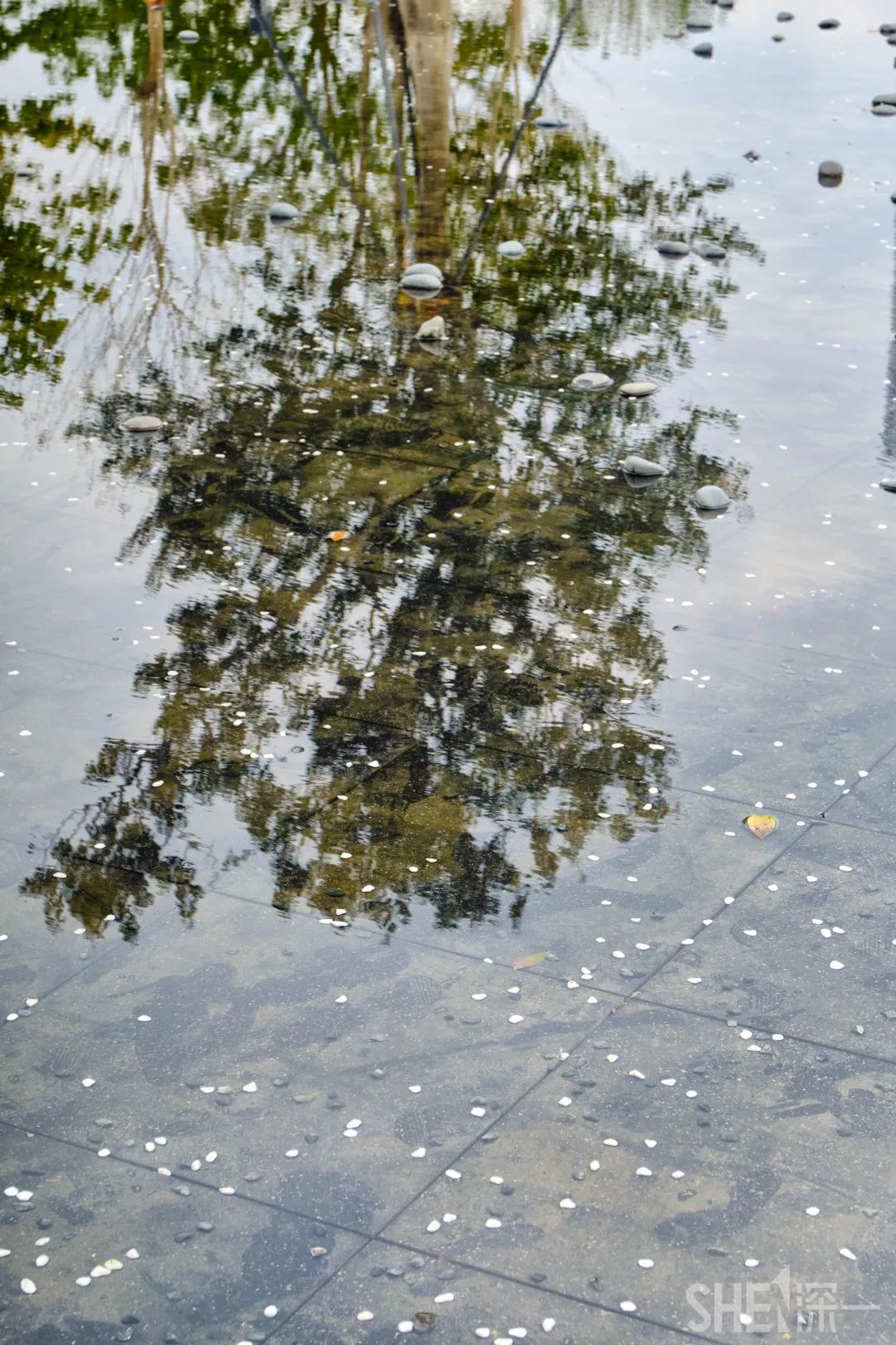 深圳5号地铁线附近的公园,地铁直达的深圳商圈