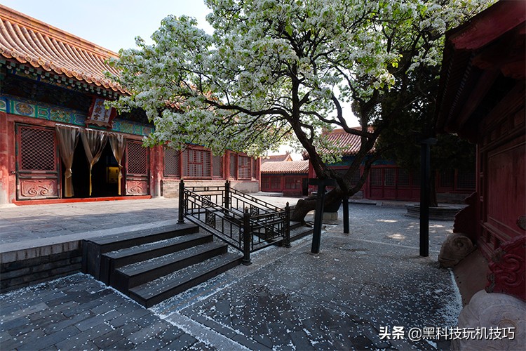 这里是故宫书籍 (这里是故宫阎崇年)