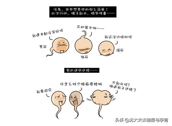 不孕症原因的筛查,不孕症要做什么检查和处理