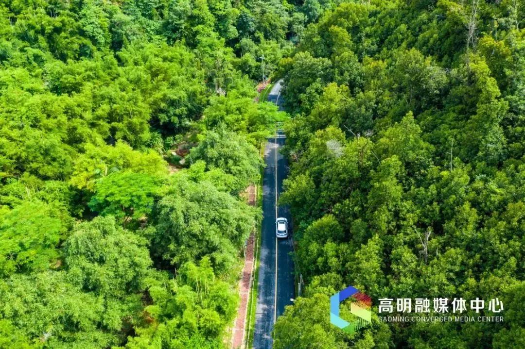 巷陌风光纵赏时赏析,光遇适合中秋赏月的10处绝美景点