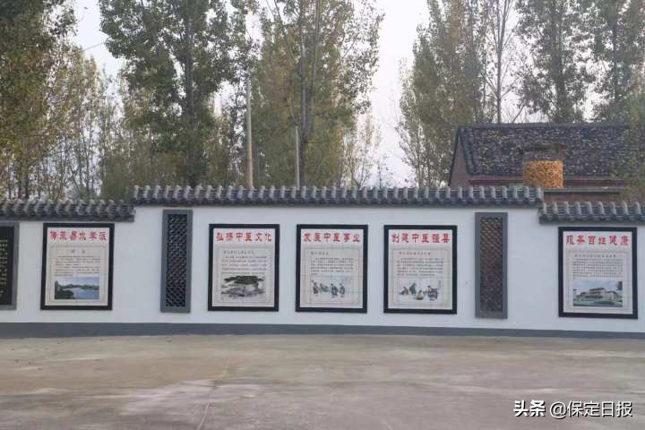 张元素将人体分为五大系统,张元素的代表著作