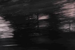 早上6点，去蒙顶山买茶是一种什么体验？