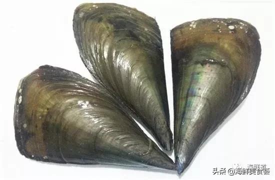 102种海鲜,营养丰富的海鲜有哪些品种