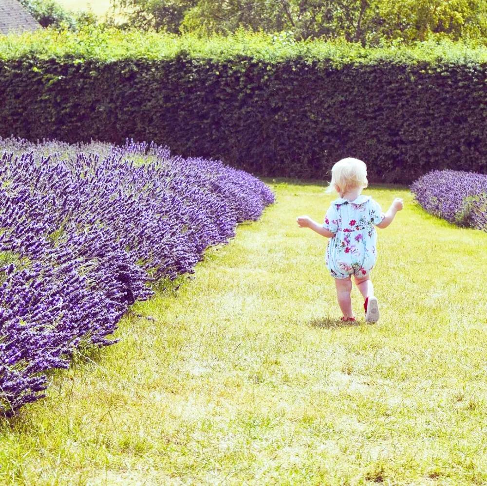 恬静乡村,摇滚乐调,古城烟雨……这里有你不知道的多面英伦