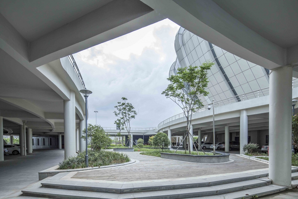 映山独玉苍，滨水双杜鹃--浙江苍南体育中心