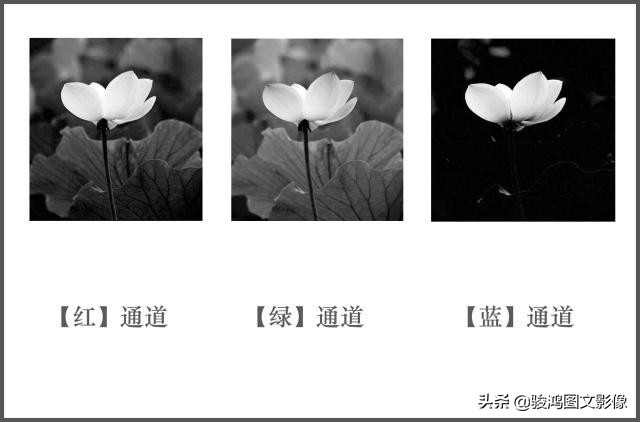 ps抠图方面设计思路与设计步骤,pscs5怎么抠图详细步骤