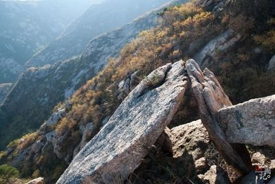 美丽茶山我的家,莱山我爱我家