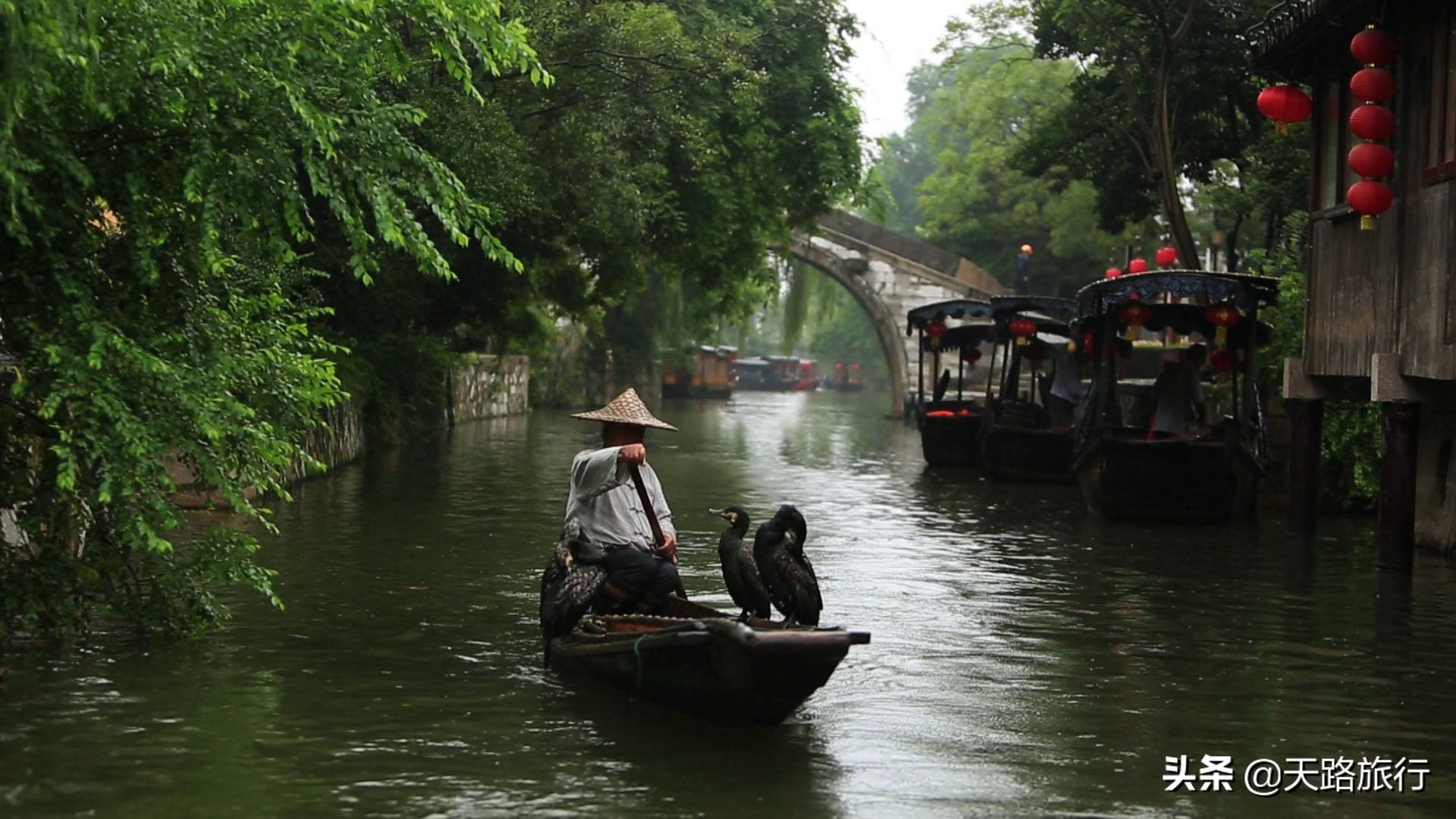 哪些职业可以成为自由职业者,如何边赚钱边旅行,实现自由梦想!