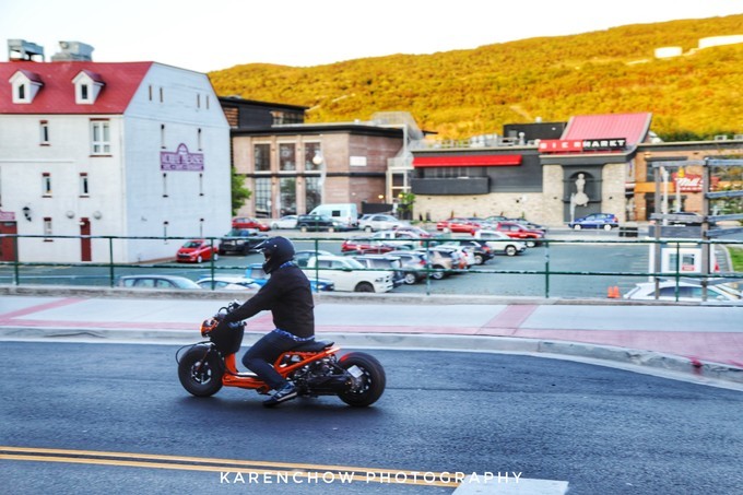 加拿大小众旅游目的地,加拿大纽芬兰自驾旅游