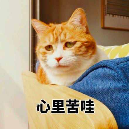 ysl小金条过期,ysl小金条转不回去怎么办